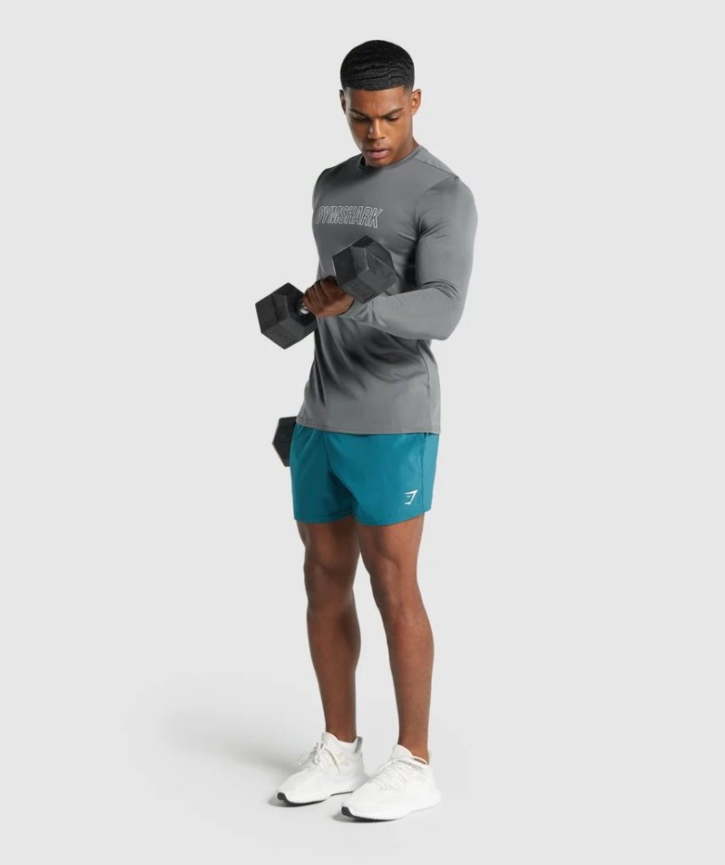 Koszulki Gymshark Arrival Long Sleeve Grafiką Męskie Szare | PL 251ADW